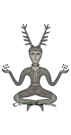 Gaulish Druidism, Gaulish Polytheism